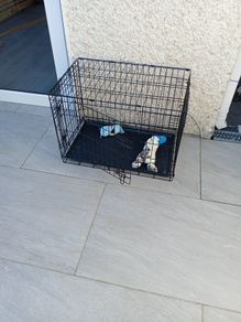 dog cage