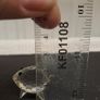 Authentic Swarovski Crystal Hedgehog Figurine Image 6