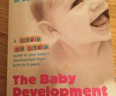Book...The Baby Development Test