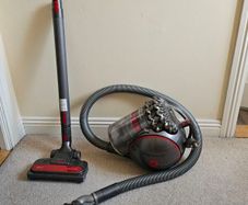 Dyson Big Ball Animal 2