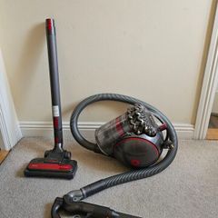 Dyson Big Ball Animal 2