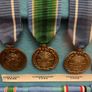 Rare Irish Army Mission collection Image 3