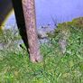 Antique cast iron fence post Image 6