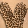 Black Fur Trim Gloves & Animal Print Gloves Image 3