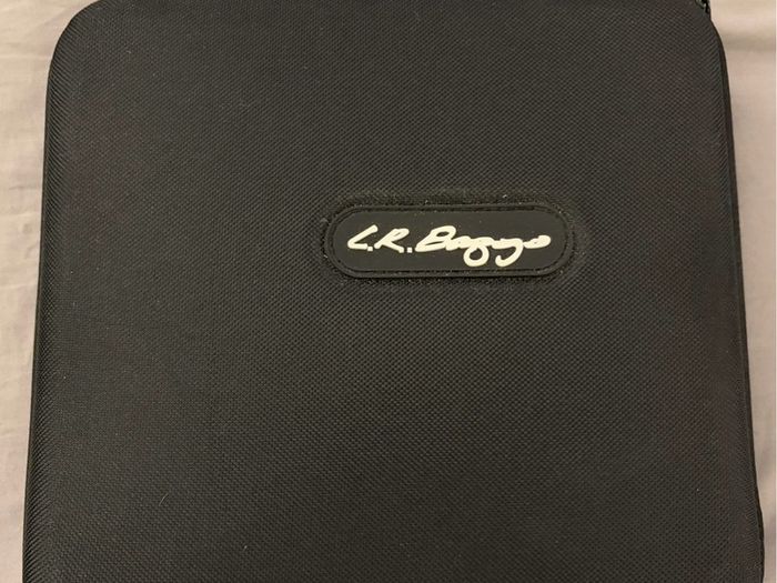 L.R. Baggs Venue DI