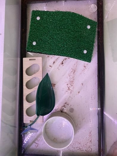 ExoTerra Terrarium