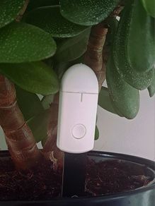 Soil moisture tester