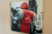 Canvas Prints