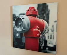 Canvas Prints