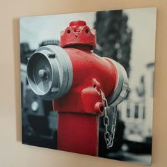 Canvas Prints
