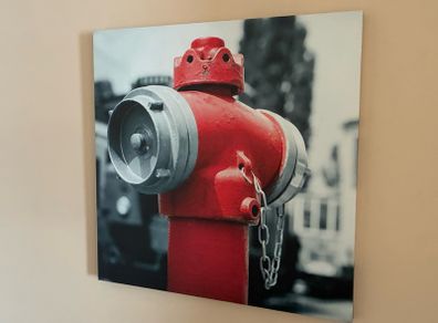 Canvas Prints