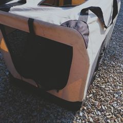 dog carrier