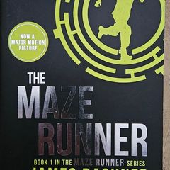 The Maze Runner by James Dasher