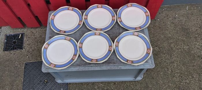 Karmony Shape Rose Pattern Vintage Dinnerware