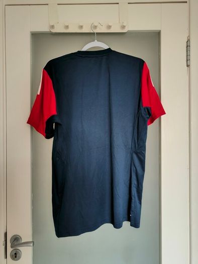 Vintage Adidas 2013 British & Irish Lions rugby training t-shirt