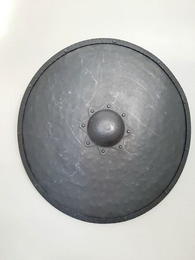 Viking shield