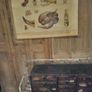 Antique Anatomical Roll Down Chart Image 4