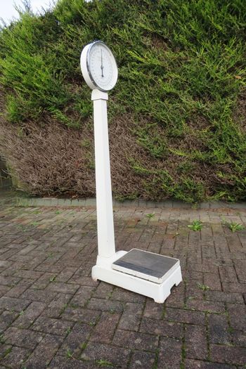 1967 vintage H. Fereday & Sons Ltd. column / lollipop scale