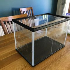 Fish Tank