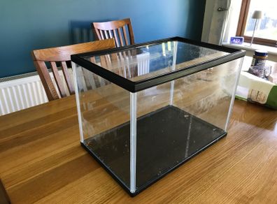 Fish Tank