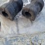 BMW E36 anti roll bushes Image 2
