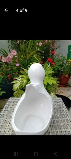 ceramic duck planter