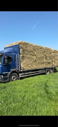 Straw and Hay