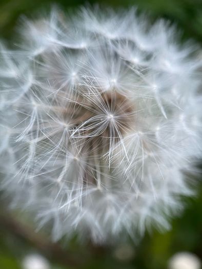 Various original macro nature photos on foam tiles