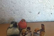 Charming Bird Figurine Collection