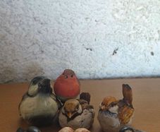 Charming Bird Figurine Collection