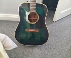 Takamine eg330 lawsuit era