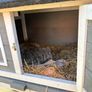 outdoor rabbit cage Image 3