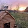 Large Chicken Coop 9 to 12 Birds Image 8