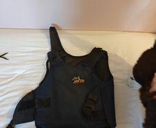 Horse riding back protector