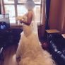 wedding dress Image 3