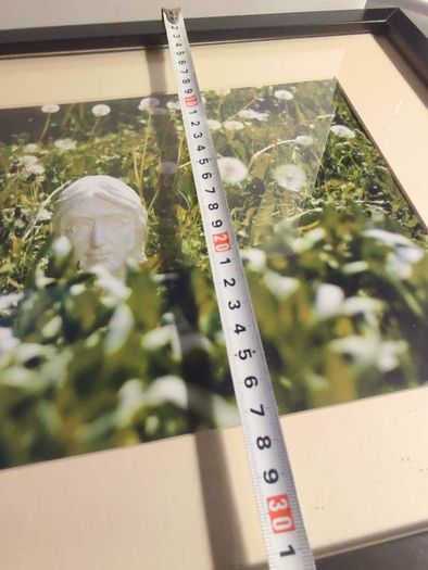 John lennon framed print watching the grass grow NIC 2010 limited edition 3 /500 42.5 x 33 cm.