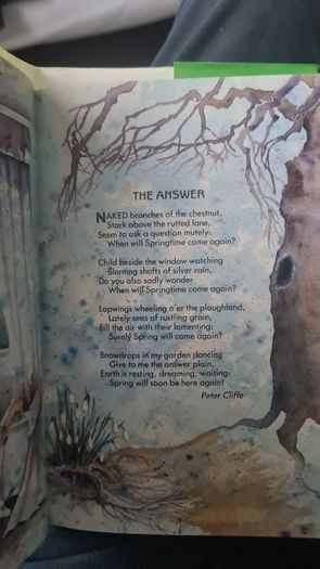BEAUTIFUL ILLUSTRATED. THE FIRESIDE BOOK. 1995.POEMS OLD AND NEW EACH BEAUTIFULLY illustrated by a full page painting special commission to capture the flavour of the words. Hardback With Dustjacket In Very Good Condition.