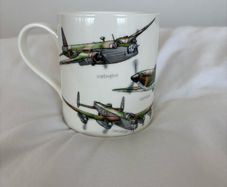 Airplane Cup