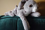 Rabbit - Soft Toy