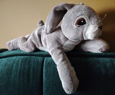 Rabbit - Soft Toy