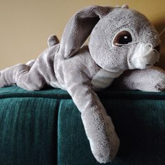 Rabbit - Soft Toy