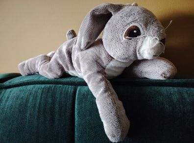 Rabbit - Soft Toy