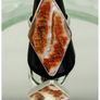 Huge Crazy Lace Agate Sterling Silver Statement Ring Size Q 1/2 Image 7