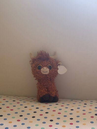 Brown teddy