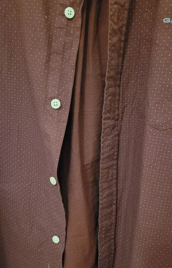 GANT shirt