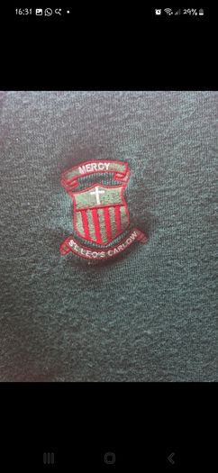 St Leos school jumper