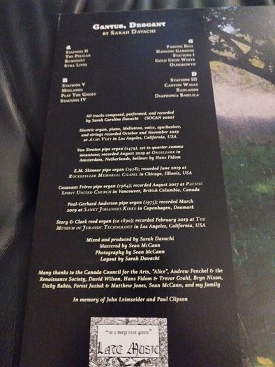 Sarah Davachi Cantus, Descant 2lp warp records imprint