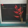 Classic Progressive House 12 Inchs 1990's Image 2