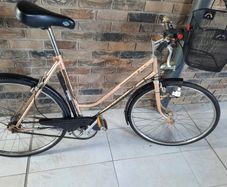 retro ladies bike