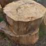 Ringed Firewood (Uncut) Image 4